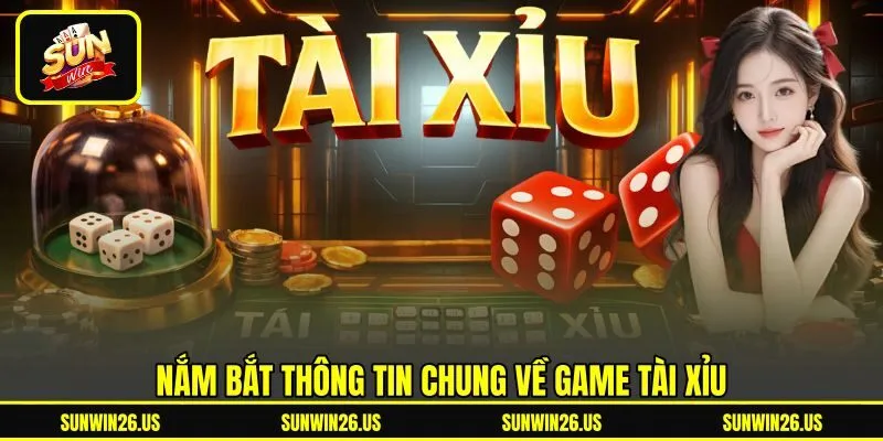 Nắm bắt thông tin chung về game tài xỉu